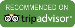 Kayak With Whales is Recommended on TripAdvisor